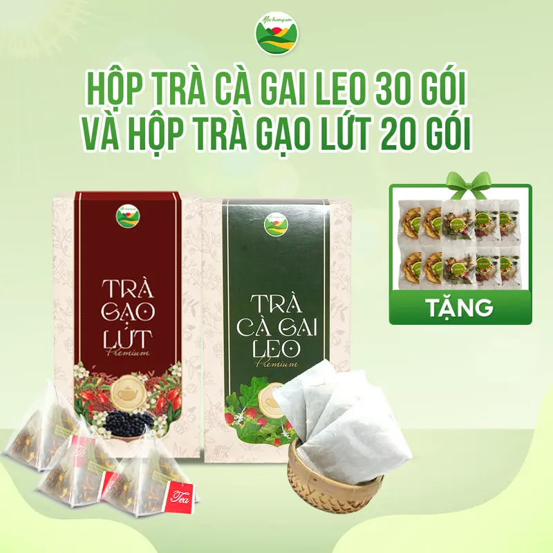 combo trà cà gai leo và trà gạo lứt combo trà cà gai leo và trà gạo lứt