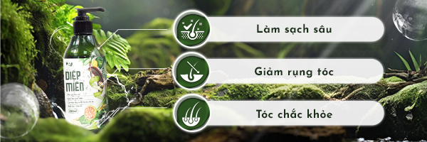 dầu gội rsz