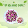 trà hoa hồng shiraz