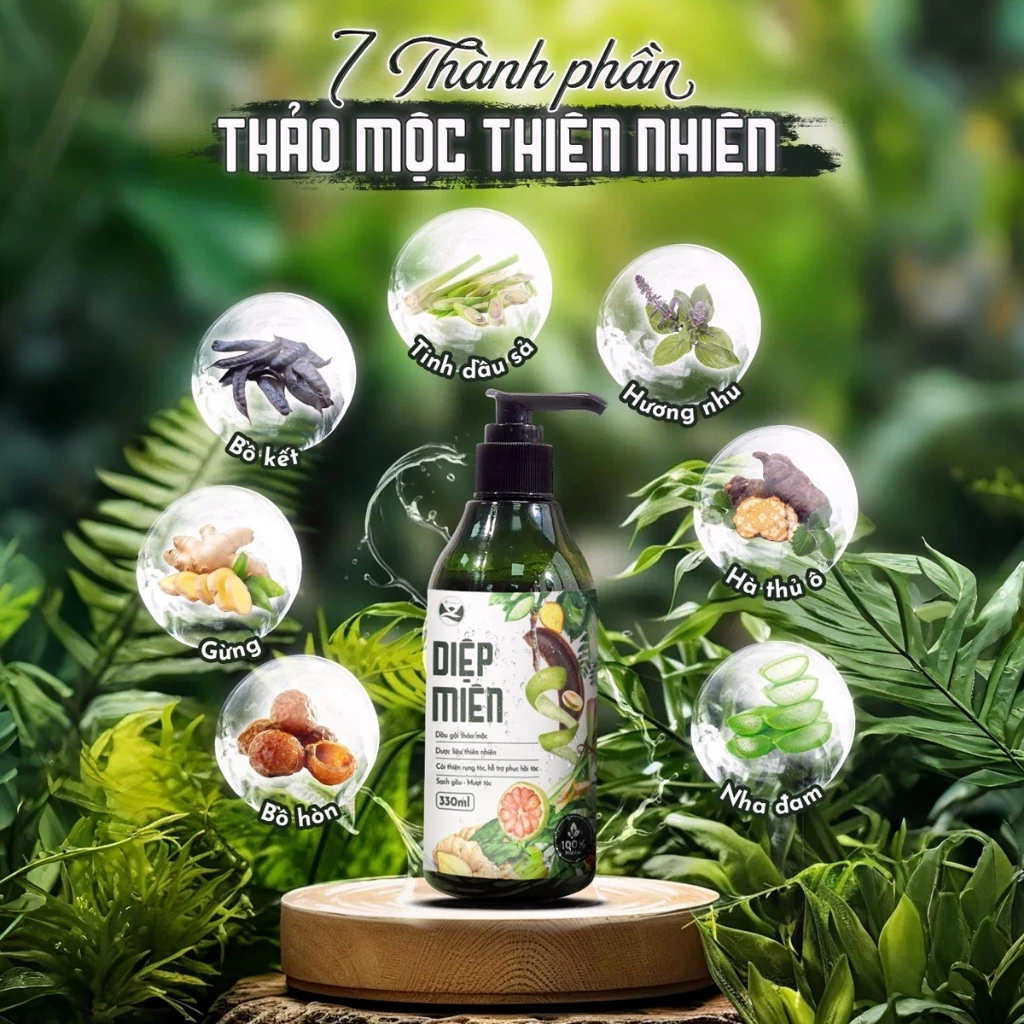 dầu gôpị mộc miên dầu gôpị mộc miên