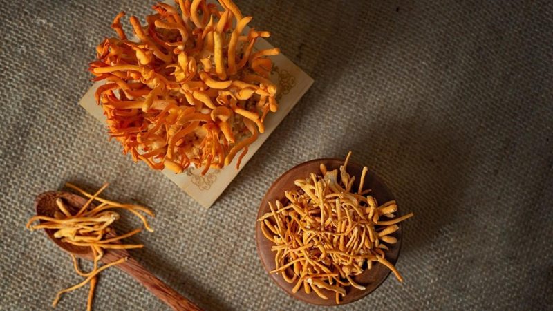 Nấm Đông Trùng Hạ Thảo Là Gì Và Tại Sao Nên Dùng 1