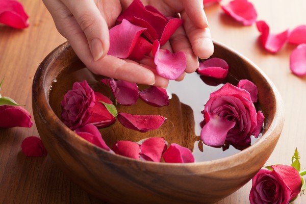 Hỗ trợ tiêu hóa, giảm đầy hơi và nhuận tràng nhẹ