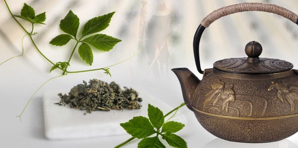 Nên uống giảo cổ lam vào lúc nào