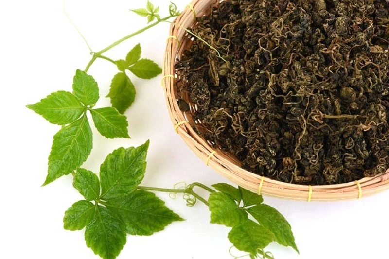 Uống nhiều giảo cổ lam có sao không 1
