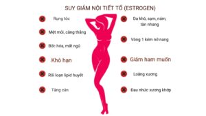 Các loại trà tốt cho nội tiết