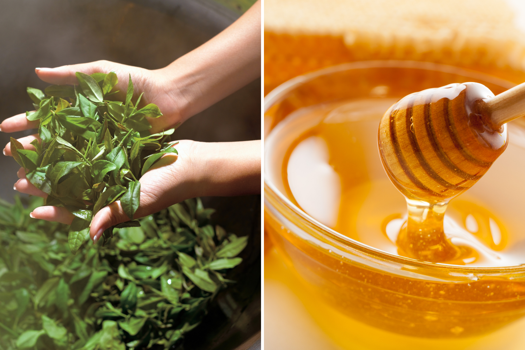 Thơm Ngon, Đúng Chuẩn Giữ Trọn Dưỡng Chất 